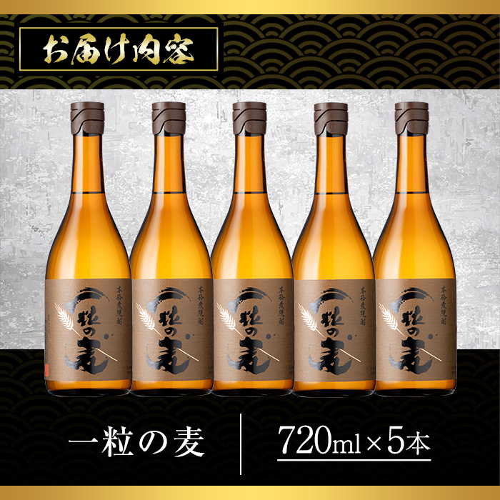 No.912 一粒の麦(720ml×5本) 焼酎 麦焼酎 酒 アルコール 麦 家飲