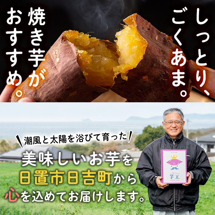 No.433 ＜先行予約受付中！＞鹿児島県産！栽培期間中農薬不