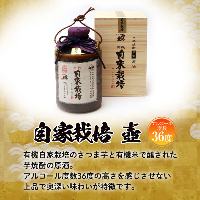 No.972 ＜本格芋焼酎＞南国酒造・有機自家栽培・壺(720ml) 鹿