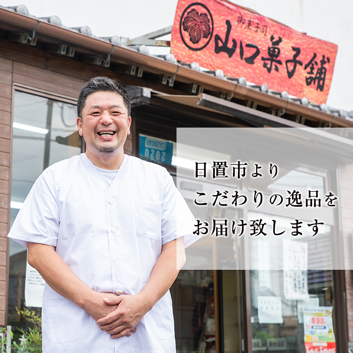 No.1007 伊集院銘菓伊集院饅頭(60個)日置市 セット 和菓子 ス