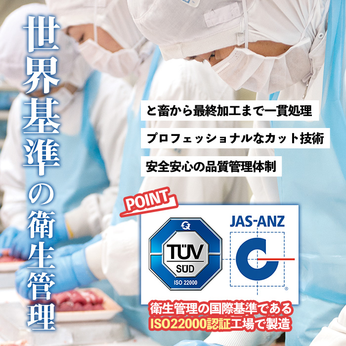 No.1011 九州産 黒毛和牛肉の切り落とし(計1.5kg・300g×5P)牛肉 