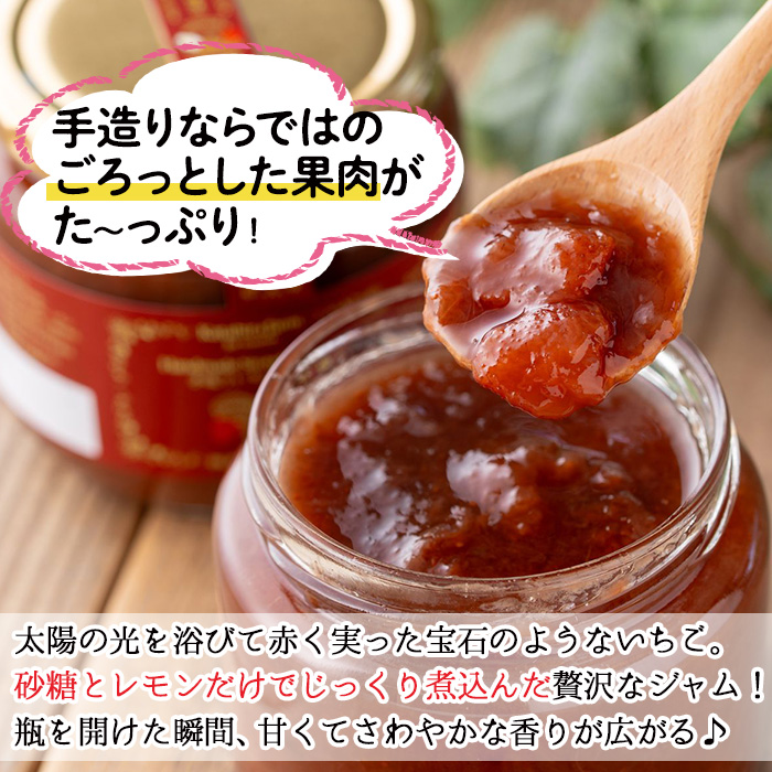 No.1022 手造りイチゴジャム(約500g×3本) 国産 鹿児島県産 いち