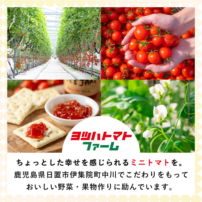 No.1198 428JAM(120g×3個・計360g) 国産 九州産 ジャム トマト トマ