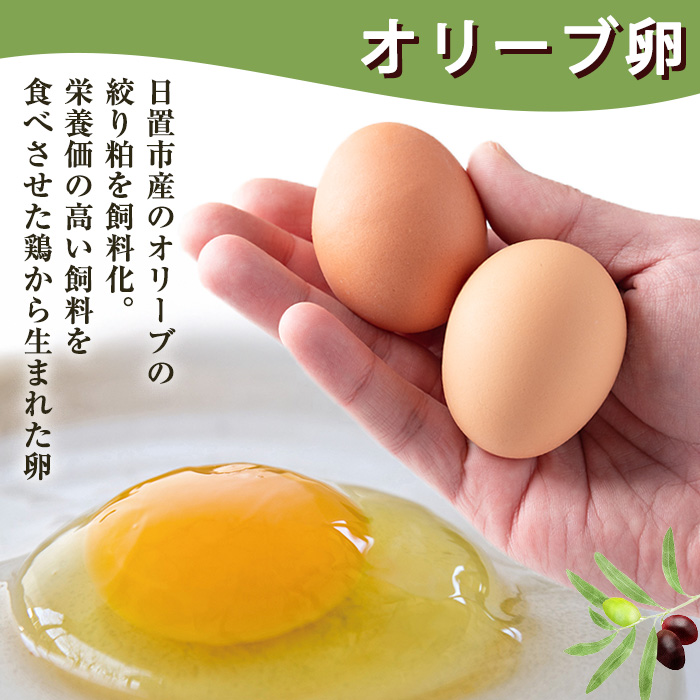 No.779 ＜全6回・定期便＞鹿児島県産美山オリーブ卵(40個×6回