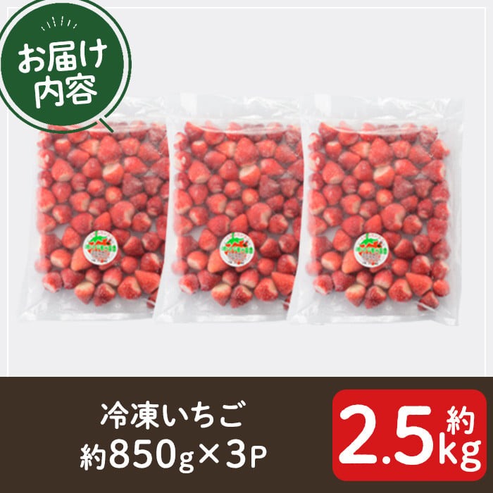 No.1183 冷凍いちご(計約2.55kg・約850g×3P) 国産 九州産 苺 いち