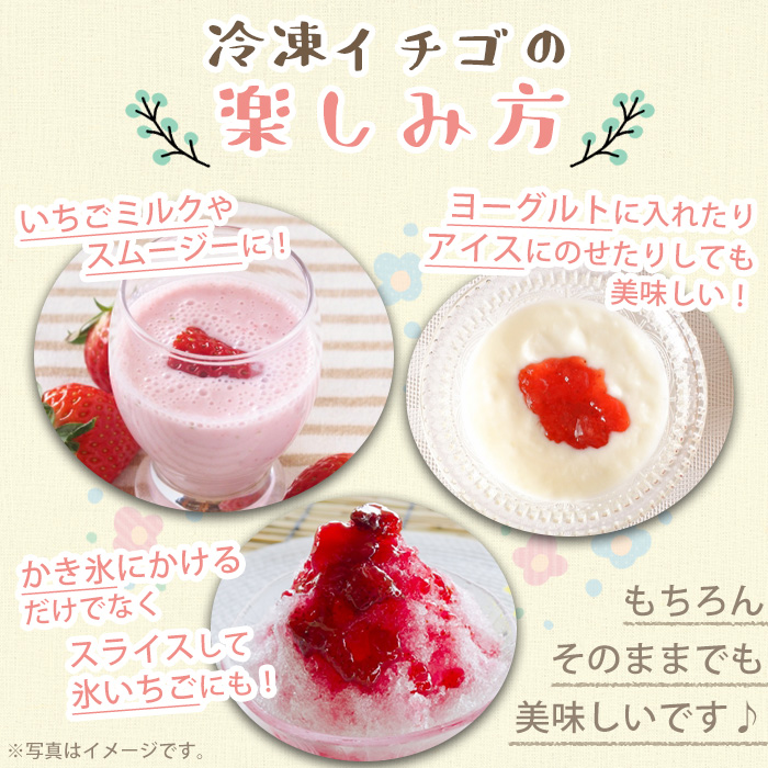 No.646-B 冷凍白いちご(約500g×2袋・計約1kg) 鹿児島 日置市 加