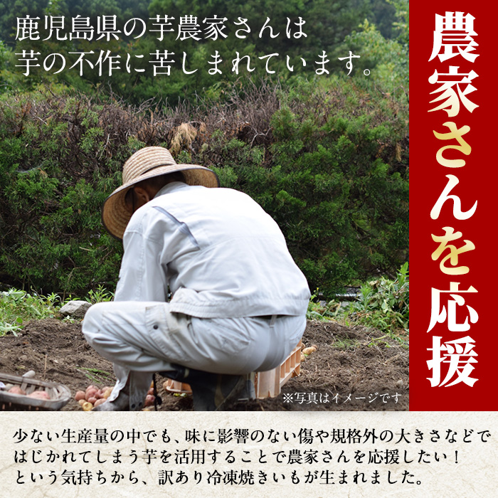 No.1343 ＜訳あり・規格外＞小ぶり・不揃い 紅はるか 冷凍焼