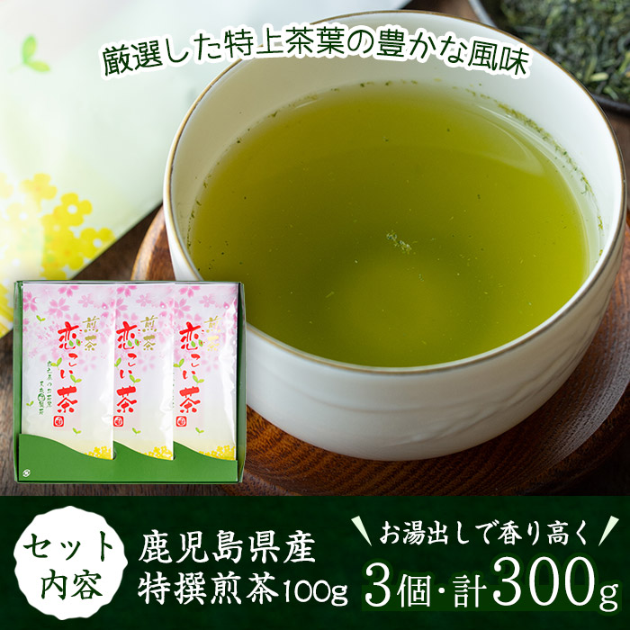No.407 ＜鹿児島県産＞特撰煎茶(100g×3袋セット 計300g) 【末永(