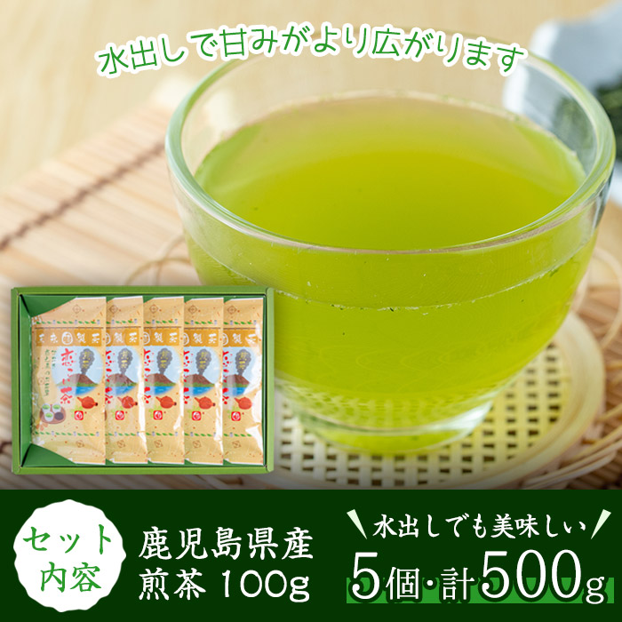 No.410 ＜鹿児島県産＞煎茶(100g×5袋セット 計500g)【末永(清)製