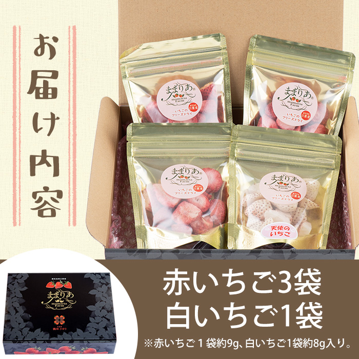 No.464 いちごのフリーズドライセット(赤いちご9g×3袋・白い