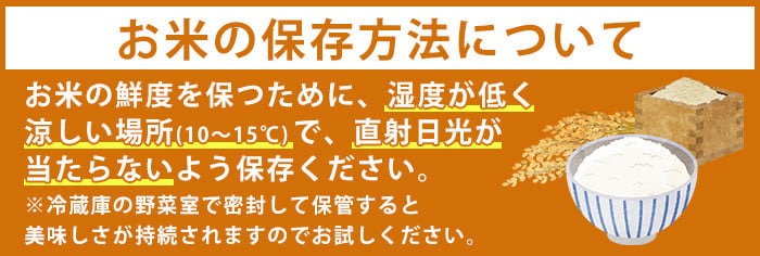 No.599 国産！鹿児島県産ひおきのおこめ無洗米10kg(5kg×2) 米 