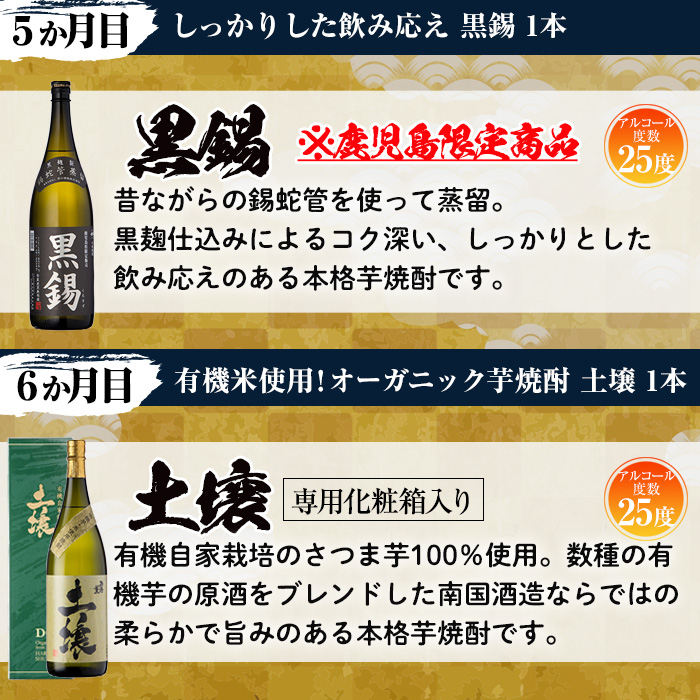 No.766 ＜定期便・全6回(連続)＞南国酒造の厳選芋焼酎定期便B