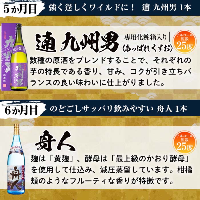 No.767 ＜定期便・全6回(連続)＞南国酒造の厳選芋焼酎定期便B