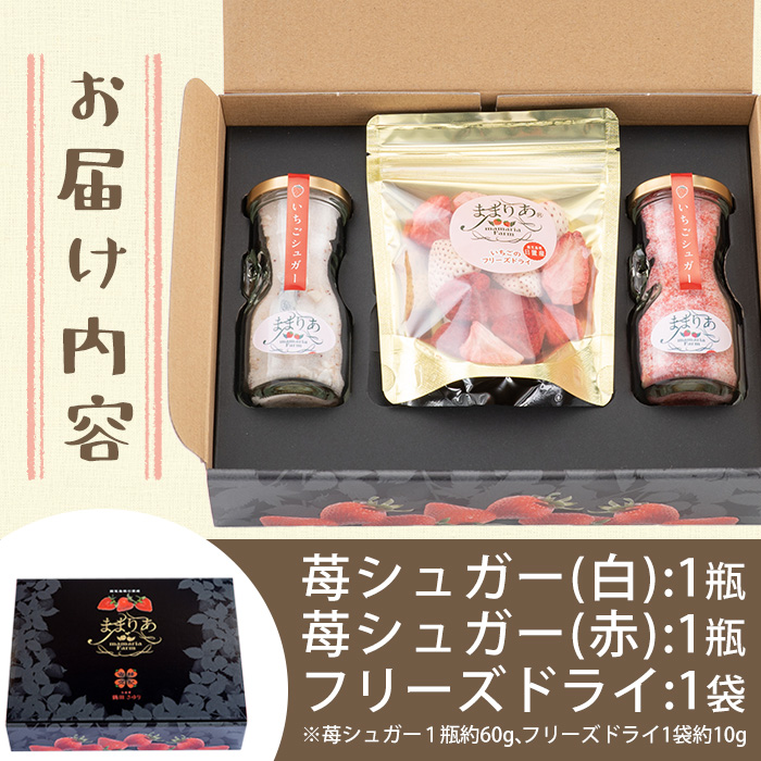 No.881 紅白苺のシュガー(60g×2瓶)とフリーズドライ(10g×1袋) 