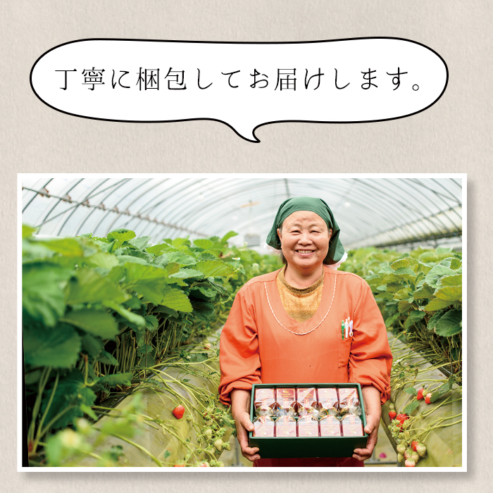 No.907 苺ジャム(200g×4本)と不知火ジャム(200g×2本)【片平観光