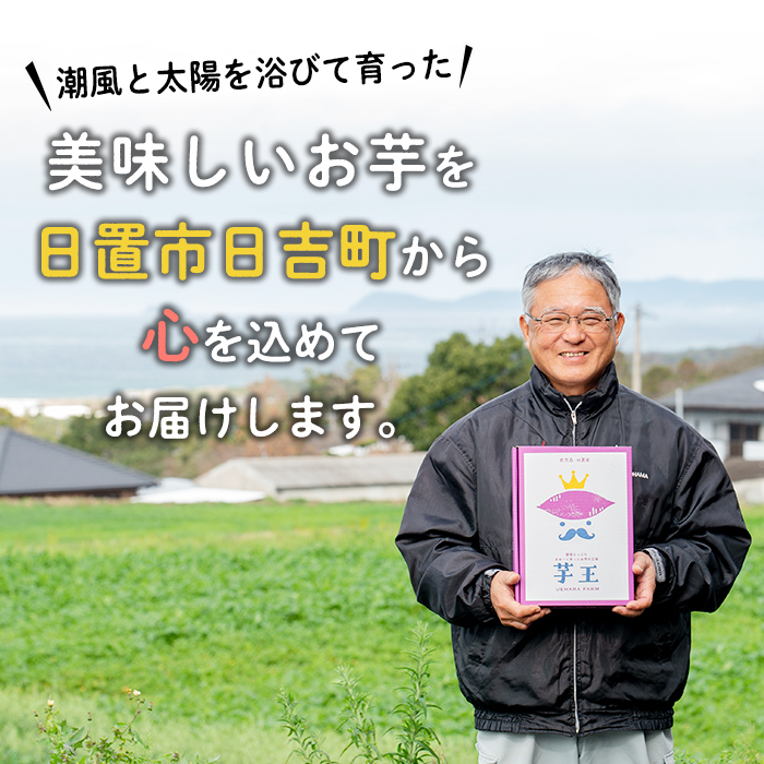 No.434 ＜先行予約受付中！＞鹿児島県産！特選紅はるか冷凍