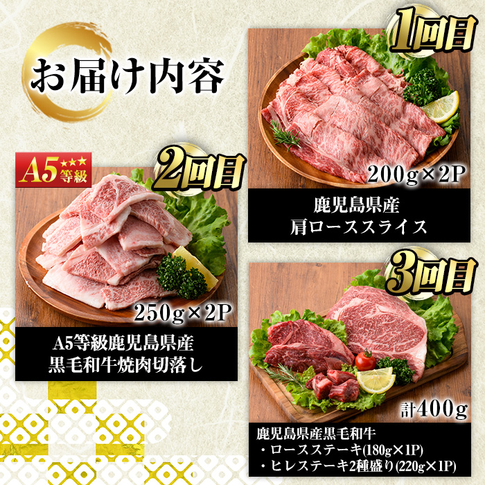 No.1247 ＜定期便・全3回(連続)＞カミチクの定番！鹿児島県産