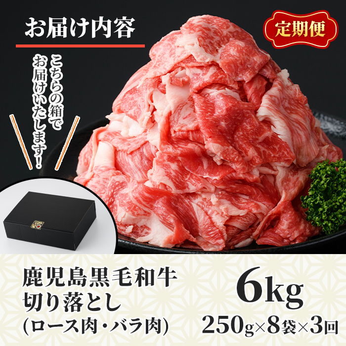 No.1233 ＜定期便・全3回＞訳あり！鹿児島黒毛和牛ロース・