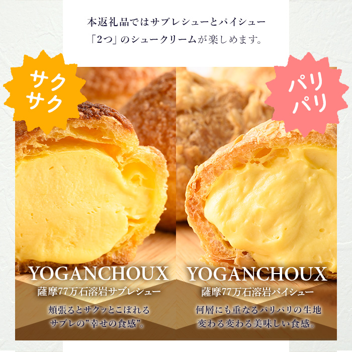 No.1049-D 薩摩77万石溶岩サブレシュー＆パイシュー(48個入) 【