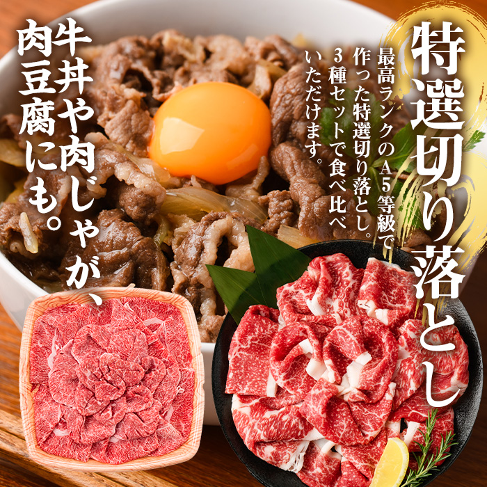 No.508-03 ＜A5等級＞鹿児島県産黒毛和牛すき焼きしゃぶしゃ