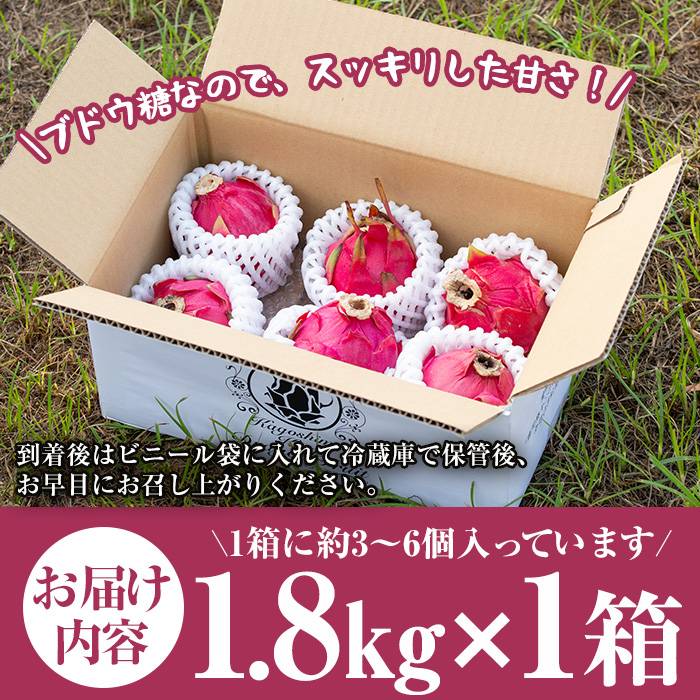 No.1145 《数量・期間限定》鹿児島県産！ドラゴンフルーツ(1.