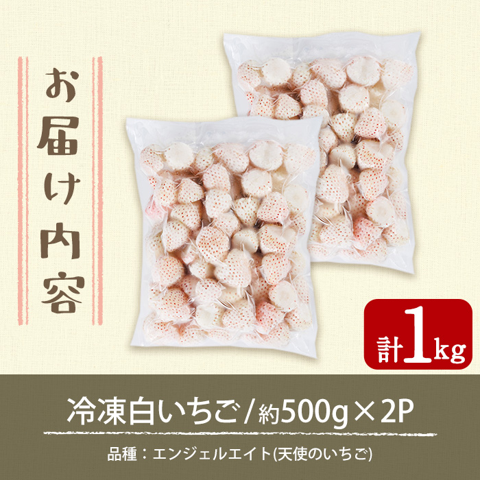 No.646-B 冷凍白いちご(約500g×2袋・計約1kg) 鹿児島 日置市 加