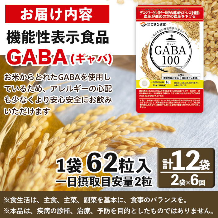 No.1286-B ＜定期便・全6回(隔月)＞GABA100(1袋 62粒入・2袋×6回 
