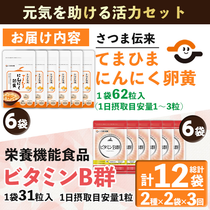 No.1298-A ＜定期便・全3回(隔月)＞活力セット(てまひま にん