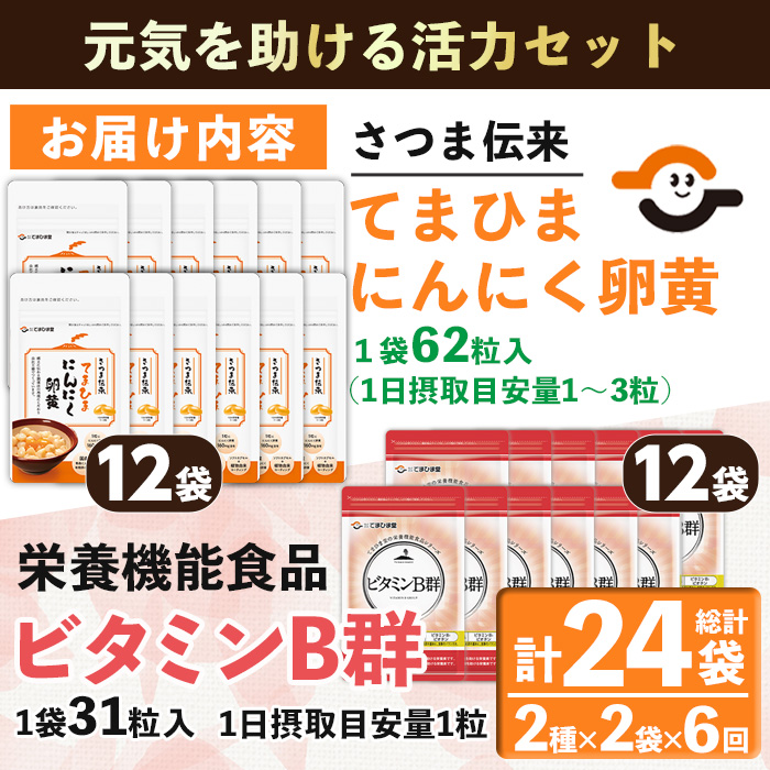 No.1298-B ＜定期便・全6回(隔月)＞活力セット(てまひま にん