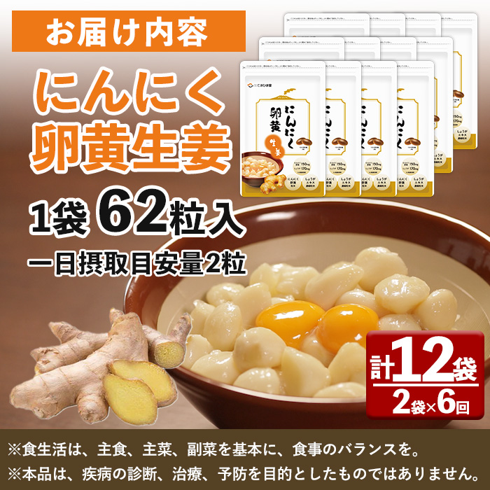 No.1285-B ＜定期便・全6回(隔月)＞てまひま にんにく卵黄生姜