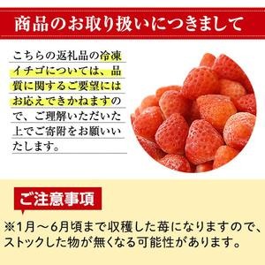 No.298 冷凍いちご(計約2kg・約1kg×2) 国産 九州産 苺 いちご イ