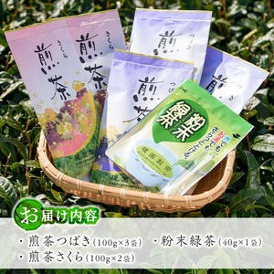 No.014 煎茶セット(雅)【世献 榎園製茶】