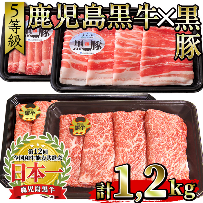 No.350 ＜肉質等級5等級＞(A-1501)鹿児島黒牛と鹿児島黒豚のし