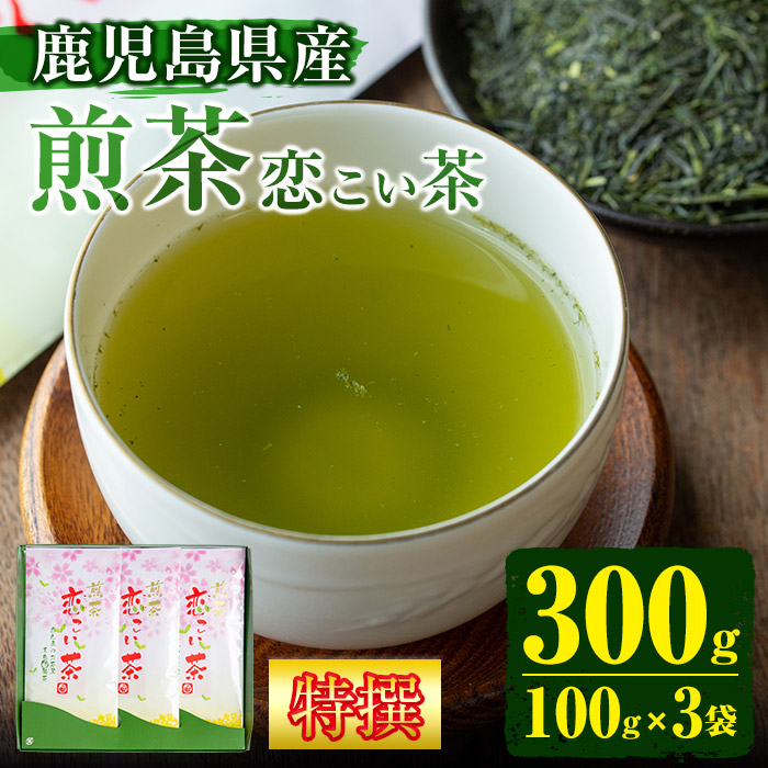 No.407 ＜鹿児島県産＞特撰煎茶(100g×3袋セット 計300g) 【末永(