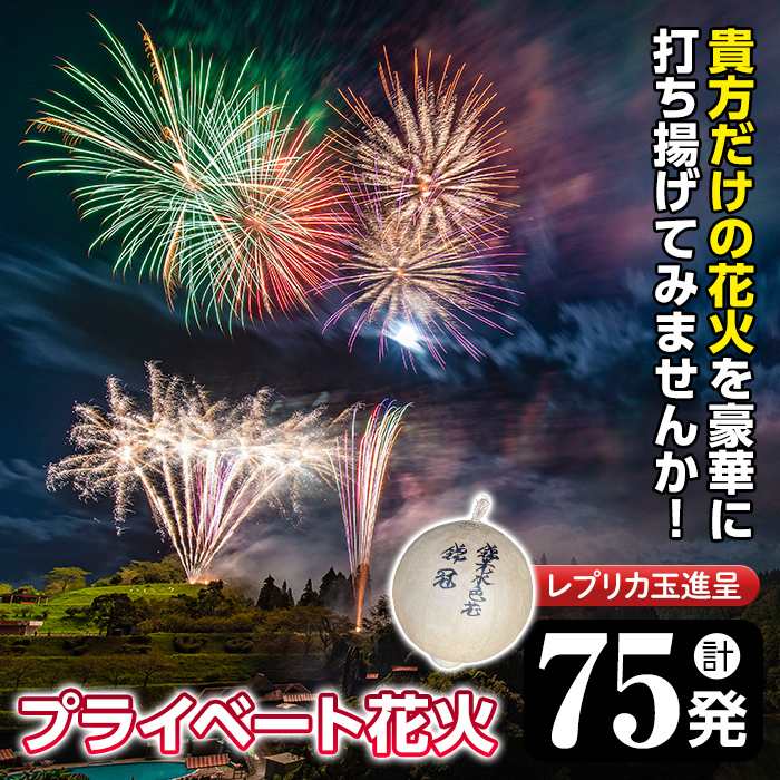 No.668 《数量限定》プライベート花火(計75発・レプリカ玉進