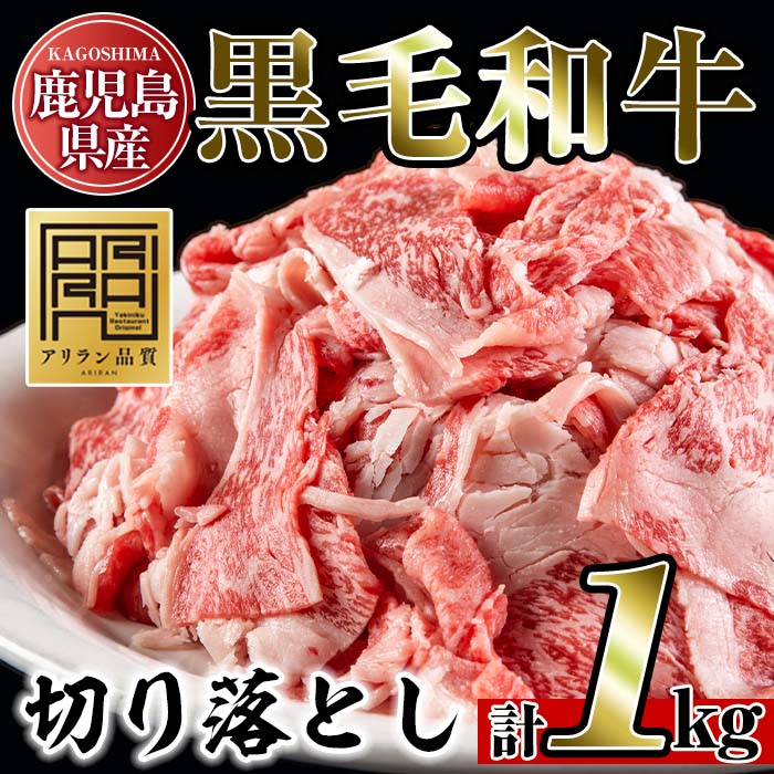 No.706 鹿児島県産黒毛和牛切り落とし(計1kg・250g×4P)【アリラ