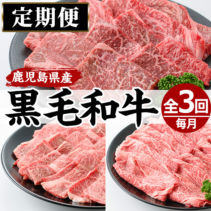 No.727 ＜定期便・全3回(連続)＞黒毛和牛の赤身牛肉コース(全