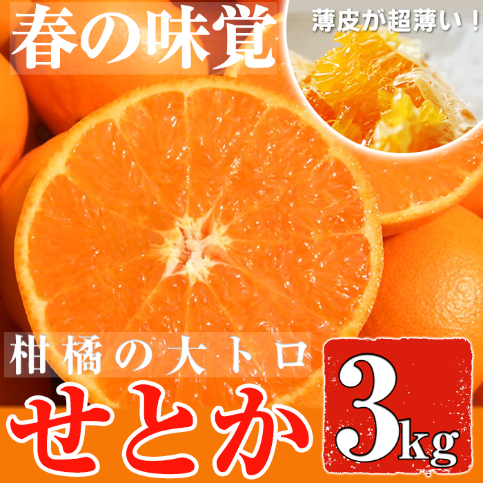 No.211 ＜先行予約受付中！2026年2月下旬～3月下旬までの間に