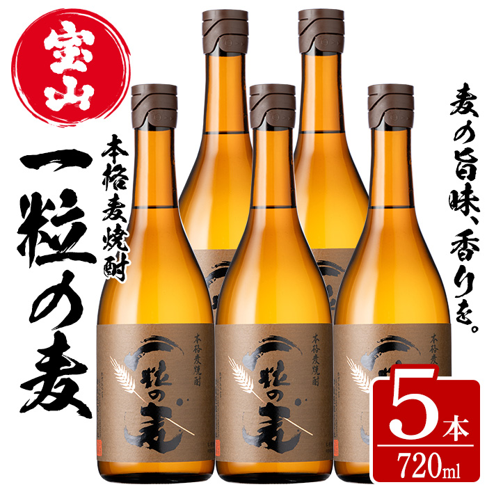 No.912 一粒の麦(720ml×5本) 焼酎 麦焼酎 酒 アルコール 麦 家飲