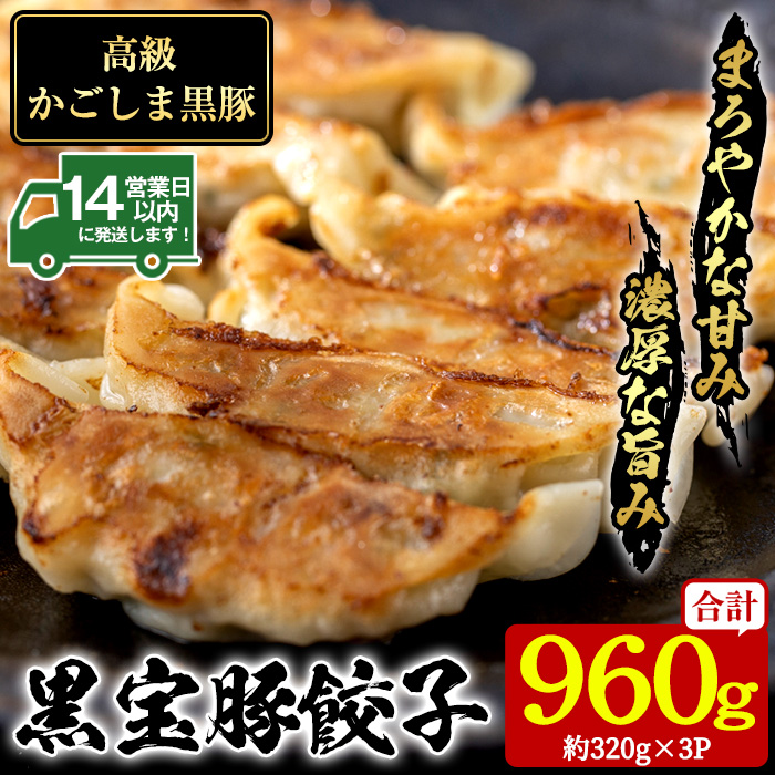No.1236 高級かごしま黒豚！黒宝豚餃子(計960g・320g×3P) 国産 