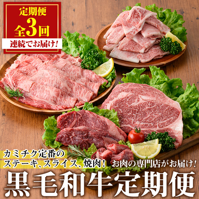 No.1247 ＜定期便・全3回(連続)＞カミチクの定番！鹿児島県産