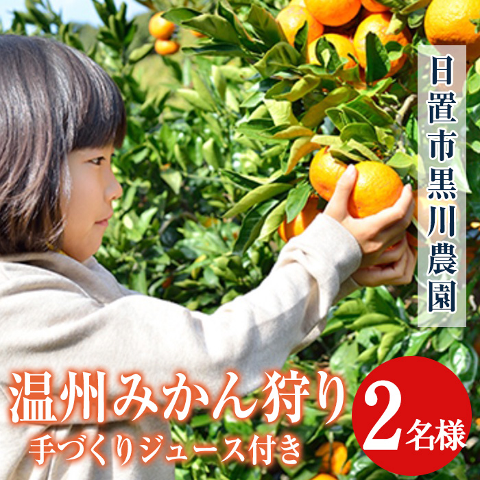 No.1251 ＜先行予約受付中＞温州みかん狩り(2名分)＆人気のジ