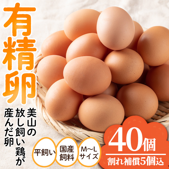 No.782 鹿児島県産有精卵(40個・ 割れ保証込み) 国産 鹿児島県