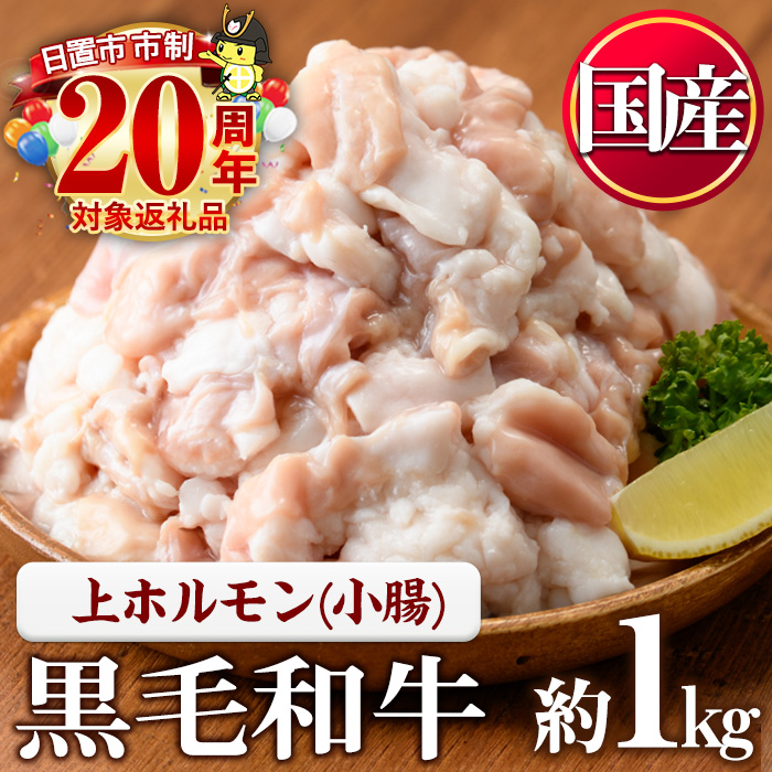 No.1001-02 黒毛和牛上ホルモン(計1kg) 国産 九州産 牛肉 黒毛和