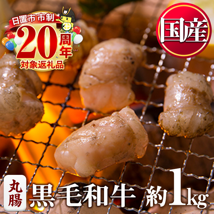 No.1001-03 黒毛和牛丸腸(計1kg) 国産 九州産 牛肉 黒毛和牛 和