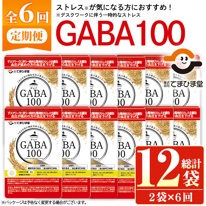 No.1286-B ＜定期便・全6回(隔月)＞GABA100(1袋 62粒入・2袋×6回 