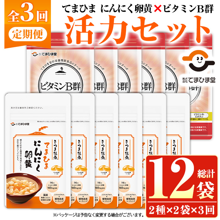 No.1298-A ＜定期便・全3回(隔月)＞活力セット(てまひま にん
