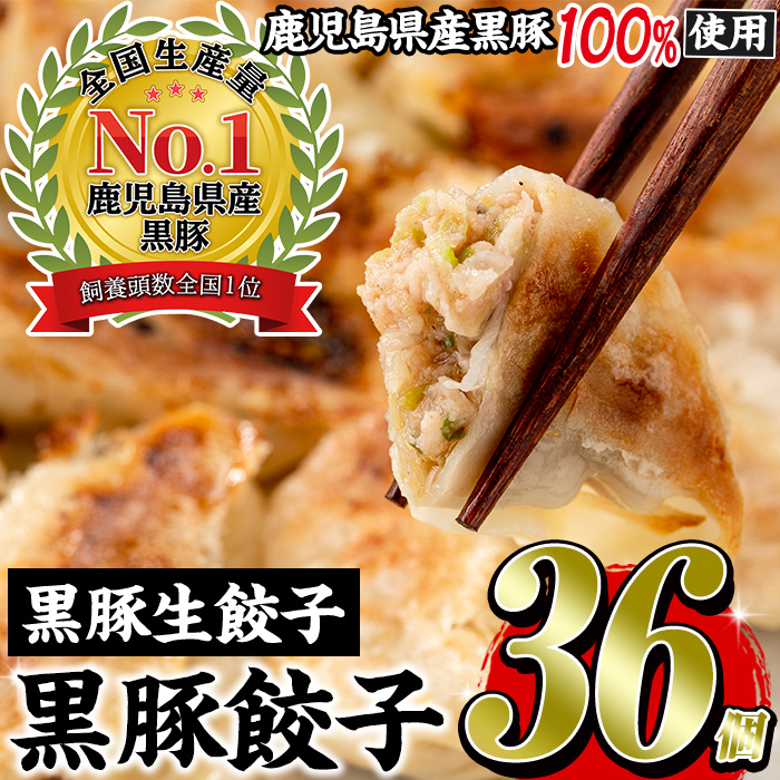 No.1327-n ＜3ヶ月以内に発送＞鹿児島黒豚使用の黒豚生餃子(