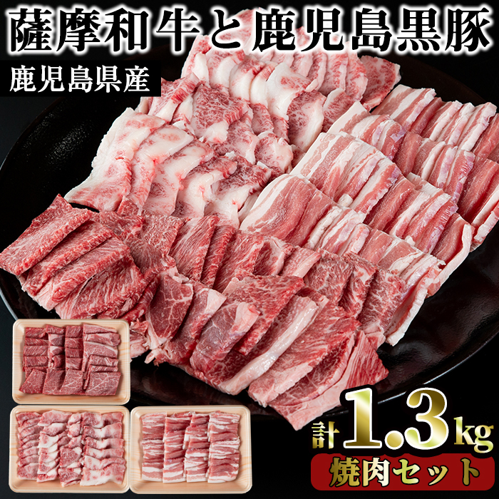No.423 薩摩和牛と鹿児島黒豚の焼肉セット(合計1.3kg・肩ロー