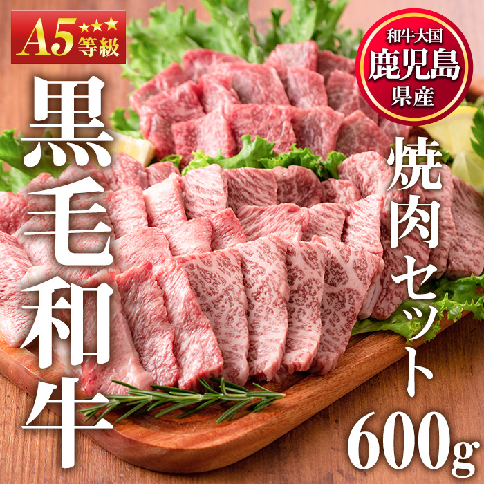 No.507-03 ＜A5等級＞鹿児島県産黒毛和牛焼肉セット(計600g・霜